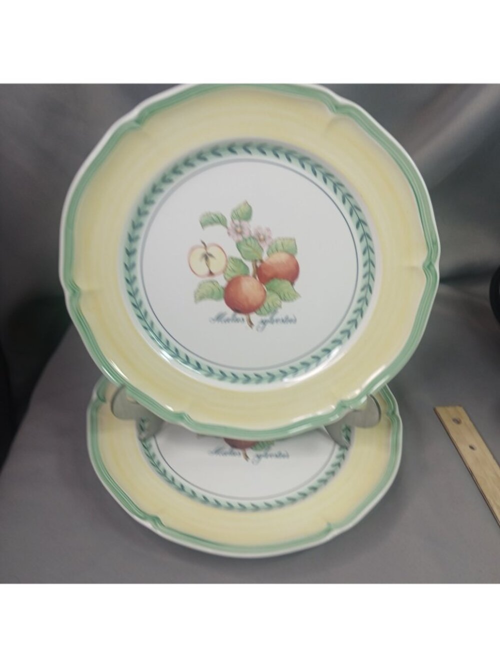 Villeroy & Boch French Garden Valence 2 Dinner Plates Vitro Porcelain - Picture 13 of 16